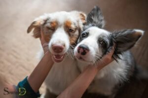 Dogs And Spiritual Awakening: Emotional Awareness!