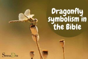 Dragonfly Spiritual Meaning Bible: Transformation!