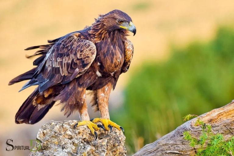 golden eagle spiritual meaning
