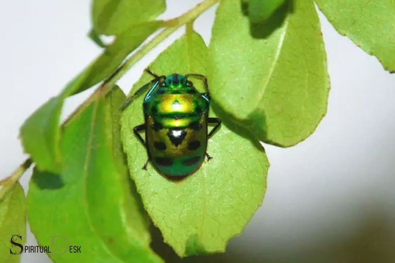 green ladybug spiritual meaning