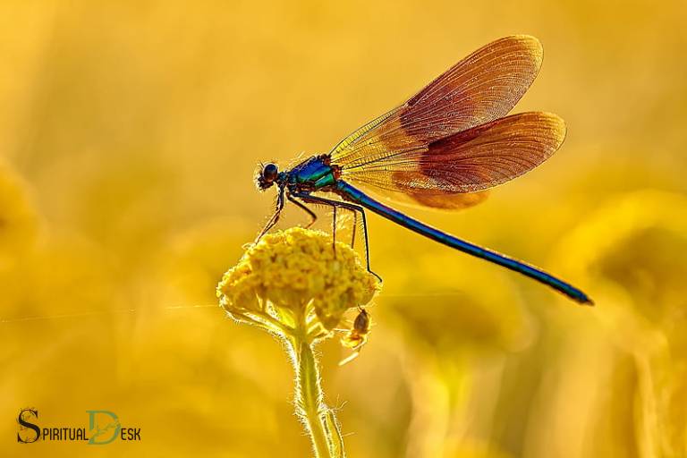 mystical spiritual flower dragonfly