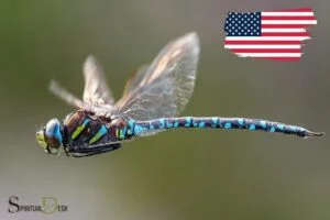 native american spiritual meaning of dragonfly