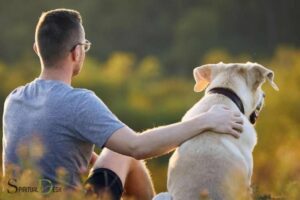 Spiritual Healing for Dogs: A Holistic Approach