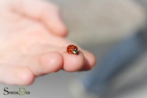 Spiritual Mean Of Ladybug Lands On Your Leg: Good Luck!
