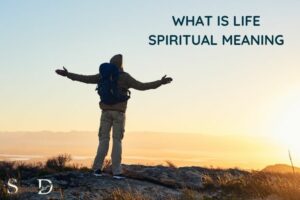 What Is Life Spiritual Meaning: Growth, Self-Awareness!