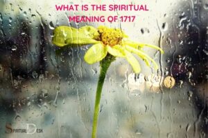 What Is the Spiritual Meaning of 1717? Self-Awareness!