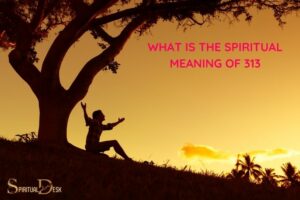What Is the Spiritual Meaning of 313? Guidance & Balance!