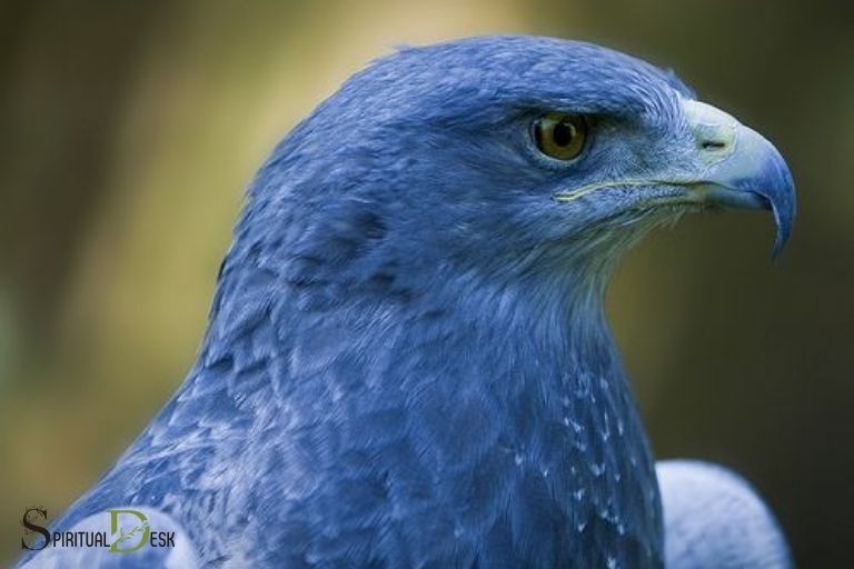 blue eagle spiritual meaning