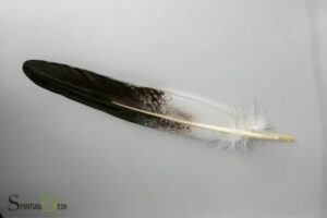 Eagle Feather Native Spirituality: Strength!