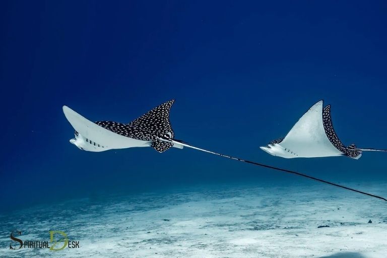 eagle ray spiritual meaning