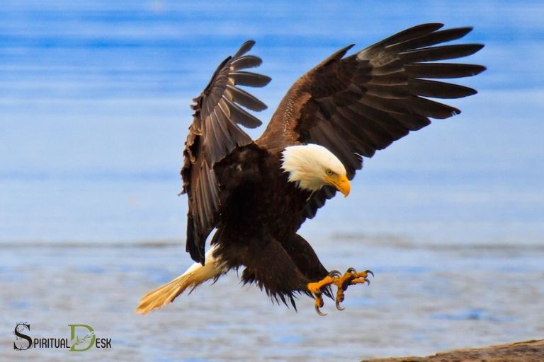 eagle represents spiritual protection