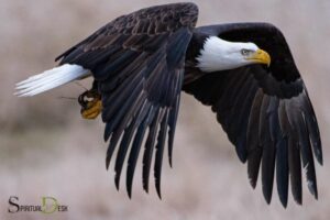 Eagle Spiritual Meaning Bible: Strength!