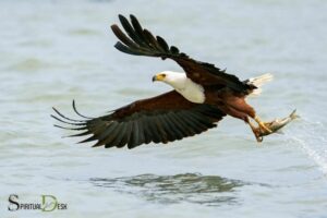 Fish Eagle Spiritual Meaning: Resilience!