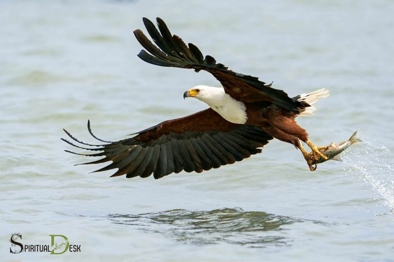 fish eagle spiritual meaning