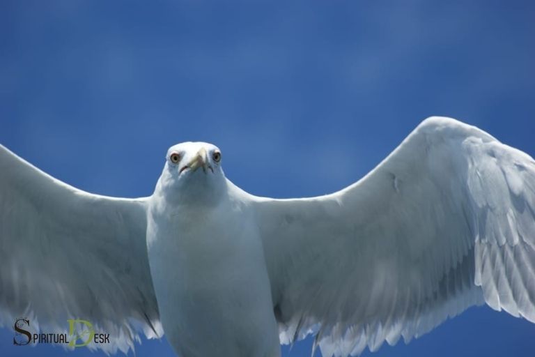 further steps on a spiritual path white eagle
