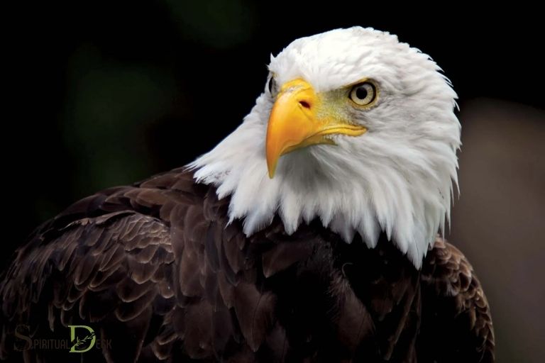 print native american spiritual eagles