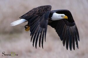Spiritual Characteristics Of An Eagle: Strength!