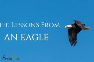 8 Spiritual Lessons from the Eagle: Resilience!