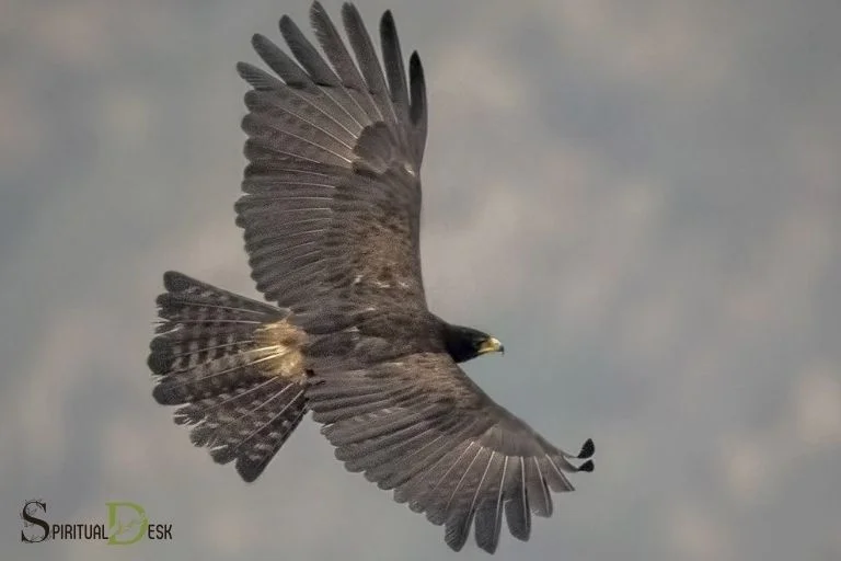 spiritual meaning of black eagles