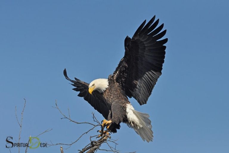 the eagle has landed spiritual meaning