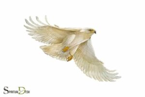 White Eagle Spiritual Books: Discover
