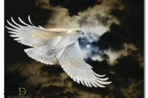 White Eagle Spiritual Healing Centre: Discoverd