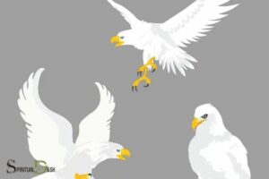 White Eagle Spiritual Teachings: Wisdom!
