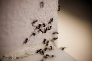 What Is the Spiritual Meaning of Ants in the House?Diligence