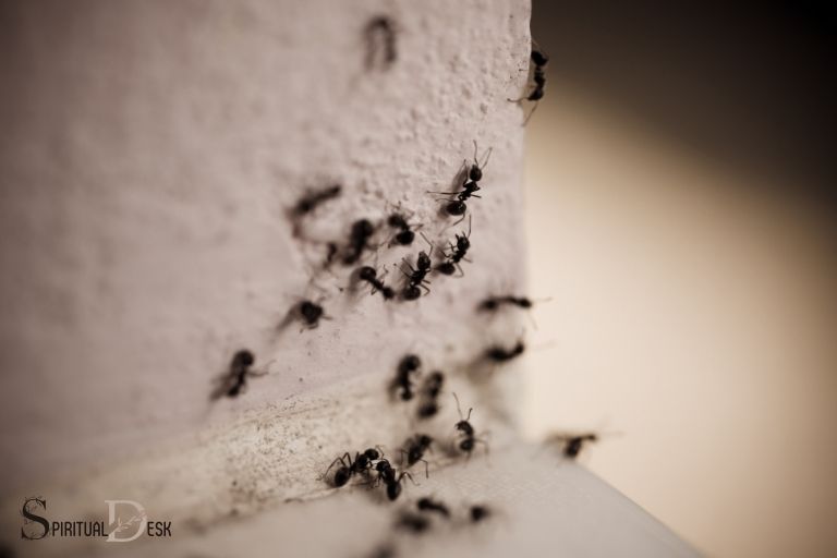 What Is the Spiritual Meaning of Ants in the House