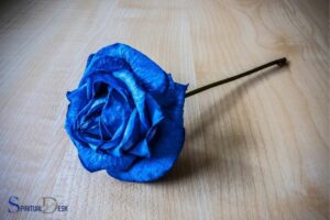 What Is the Spiritual Meaning of a Blue Rose? Enchantment