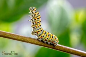 What Is the Spiritual Meaning of a Caterpillar? Change!