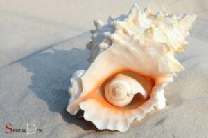 What Is the Spiritual Meaning of a Conch Shell? Protection