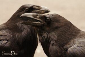 What Is the Spiritual Meaning of a Crow? Transformation!