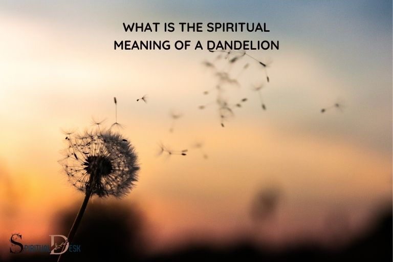 What Is the Spiritual Meaning of a Dandelion