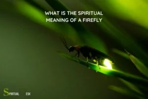 What Is the Spiritual Meaning of a Firefly? Hope, Guidance