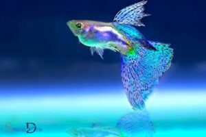What Is the Spiritual Meaning of a Fish? Abundance, Faith!