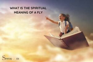 What Is the Spiritual Meaning of a Fly? Transformation!