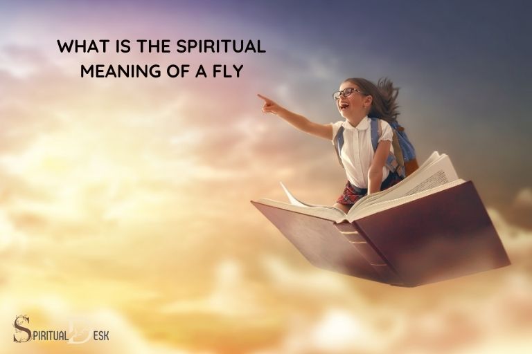 What Is the Spiritual Meaning of a Fly