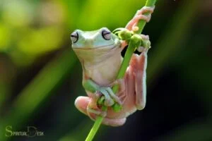 What Is the Spiritual Meaning of a Frog? Growth & Renewal
