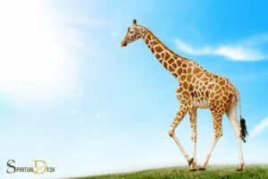 What Is the Spiritual Meaning of a Giraffe? Vision!