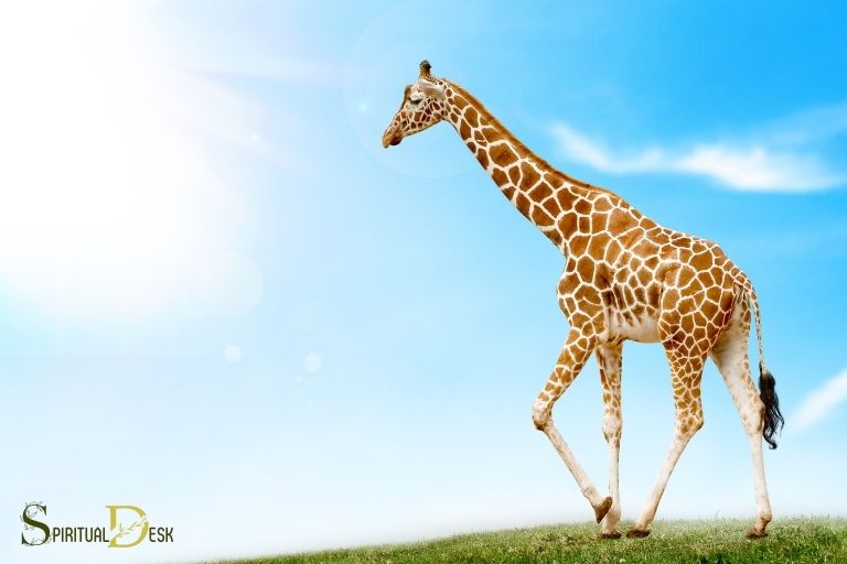 What Is The Spiritual Meaning Of A Giraffe? Vision!