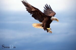 What Is the Spiritual Meaning of an Eagle? Freedom!