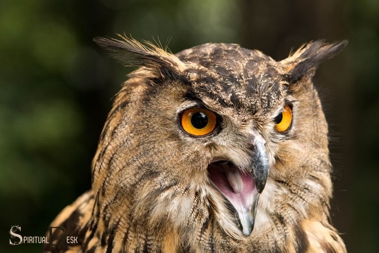 What Is the Spiritual Meaning of an Owl Hooting