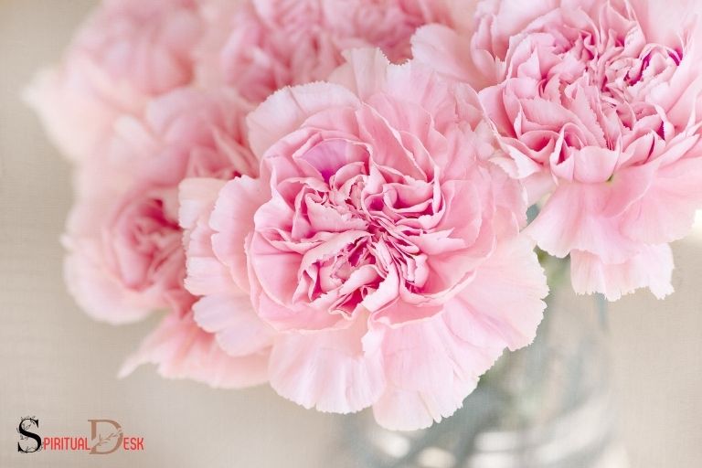 what is the spiritual meaning of carnations