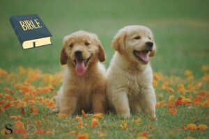 What is the Spiritual Meaning of Dog in the Bible? Loyalty!