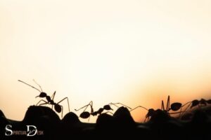 What is the Spiritual Meaning of Dreaming About Ants?