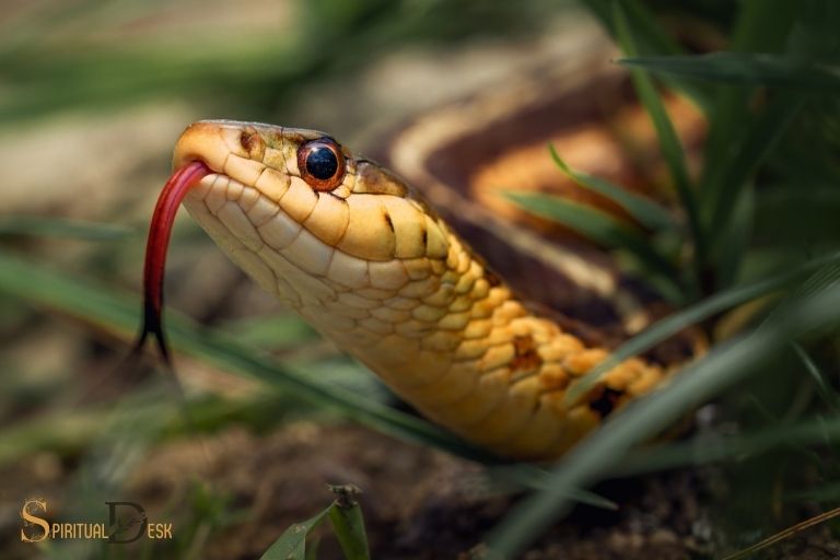 what is the spiritual meaning of dreaming about snakes