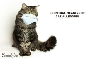 Spiritual Meaning of Cat Allergies: Freedom, Agility!