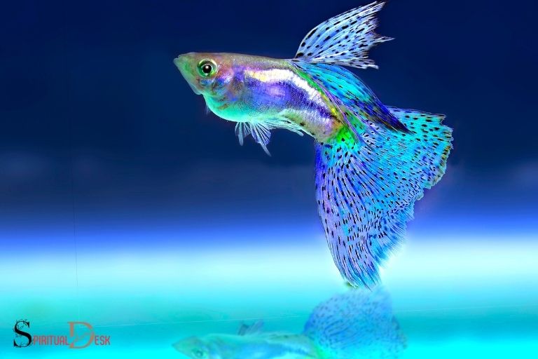 what is the spiritual meaning of fish in a dream