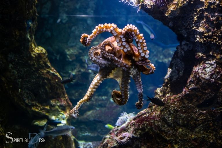 what is the spiritual meaning of octopus